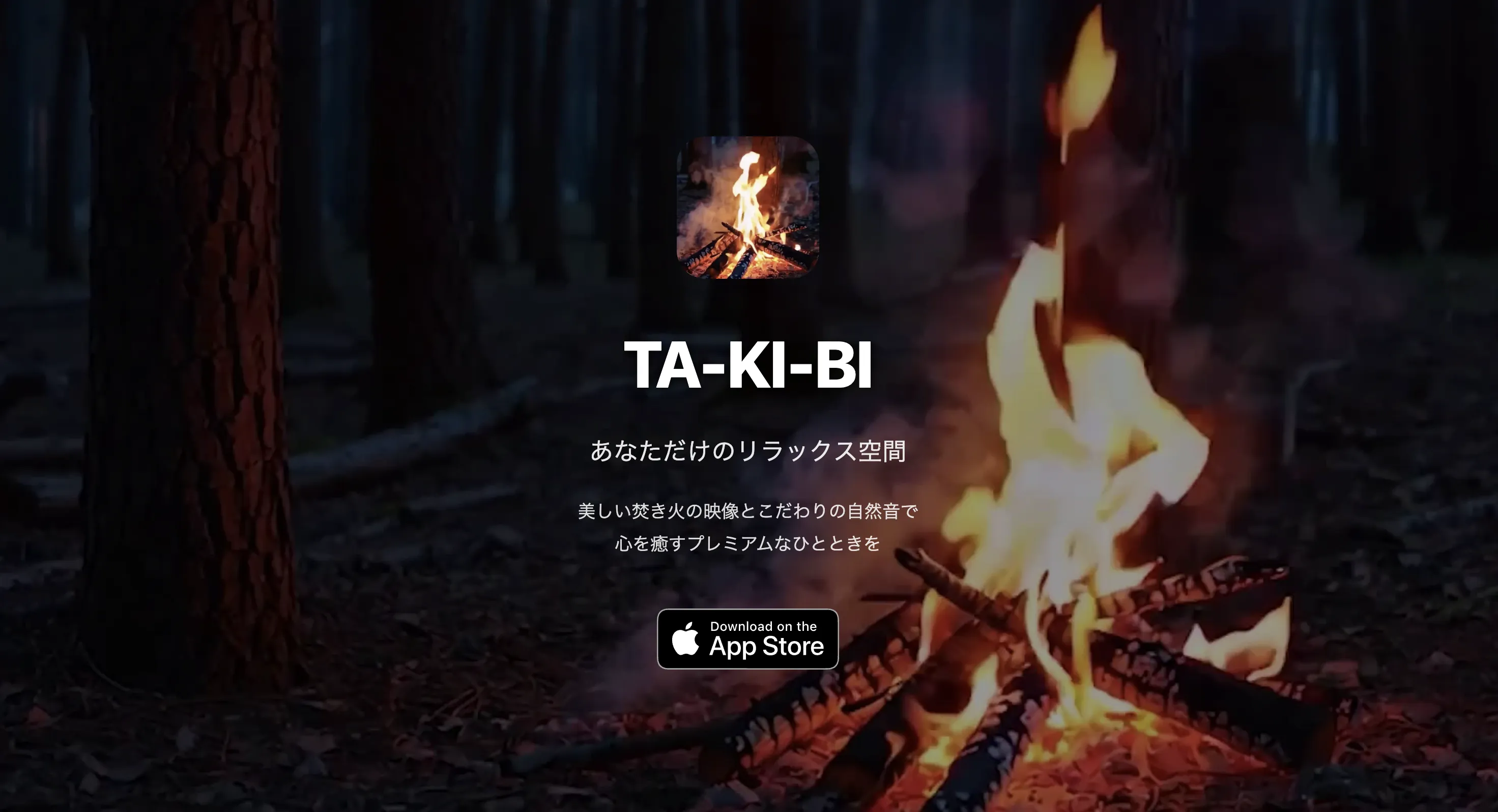 TA-KI-BI アプリサイト